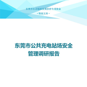 2025年東莞市公共充電站場安全管理調(diào)研報告