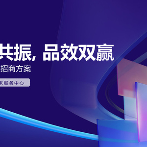 2025年電視淘寶雙11招商方案