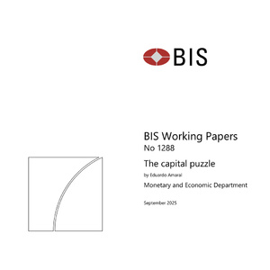 2025年全球貨幣政策與資本之謎研究報(bào)告