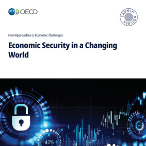 2025年全球經(jīng)濟(jì)安全研究報(bào)告