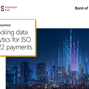 2025年支付數(shù)據(jù)標(biāo)準(zhǔn)化分析報(bào)告