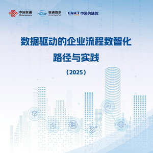 2025年企業(yè)流程數(shù)智化研究報(bào)告