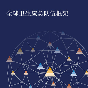 2025年全球衛(wèi)生應(yīng)急隊(duì)伍框架