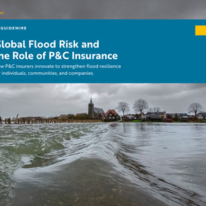 2025年全球洪水風(fēng)險(xiǎn)與保險(xiǎn)作用報(bào)告