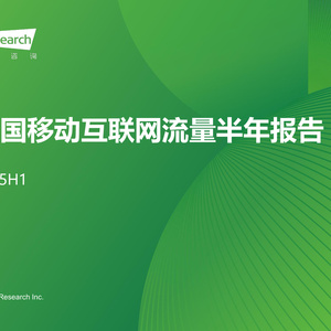 2025年上半年中國移動互聯網流量報告