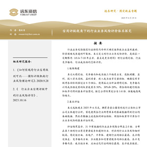 2025年行業(yè)業(yè)務(wù)風(fēng)險評價報告