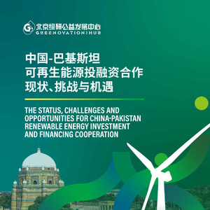 2025年中國-巴基斯坦可再生能源投融資合作報告