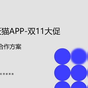 2025年天貓APP雙11鎮(zhèn)店之寶合作方案