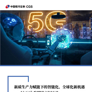 2025年汽車行業(yè)智能化與全球化報告