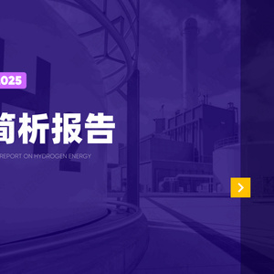 2025年中國氫能行業(yè)簡析報(bào)告