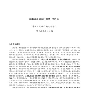 2025年湖南省金融運(yùn)行報(bào)告