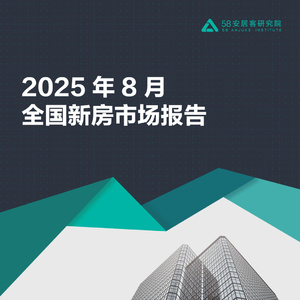 2025年全國新房市場月度報告