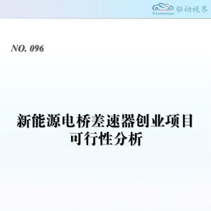 2025年新能源電橋差速器總成創(chuàng)業(yè)項(xiàng)目可行性分析研究報(bào)告
