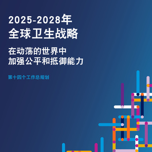 2025-2028年全球衛(wèi)生戰(zhàn)略報(bào)告