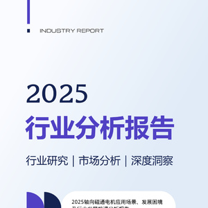 2025年軸向磁通電機(jī)發(fā)展報(bào)告