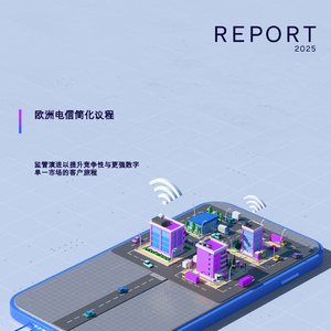 2025年歐洲電信監(jiān)管研究報(bào)告