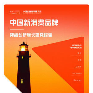 2025年中國(guó)新消費(fèi)品牌增長(zhǎng)白皮書