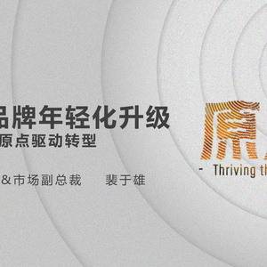 2024年熱水器品牌年輕化升級策略案