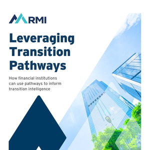 2025年金融與能源轉(zhuǎn)型路徑報告