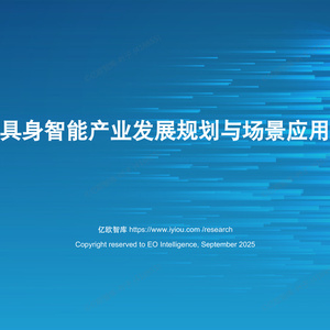 2025年中國具身智能產(chǎn)業(yè)洞察報告