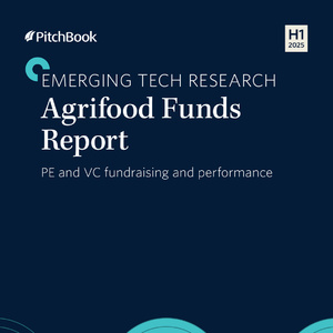 2025年上半年農(nóng)業(yè)食品基金報(bào)告