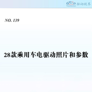 2025年新能源電驅(qū)動(dòng)系統(tǒng)技術(shù)報(bào)告