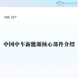 2025年中車電驅(qū)動(dòng)產(chǎn)品技術(shù)報(bào)告