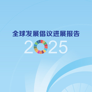 2025年全球發(fā)展倡議進展報告