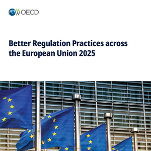 2025年歐盟更好監(jiān)管實(shí)踐報(bào)告