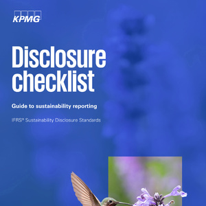 2025年可持續(xù)發(fā)展披露標準指南