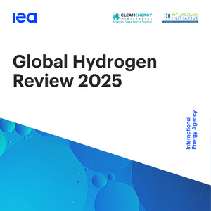 2025年全球氫能發(fā)展回顧報告