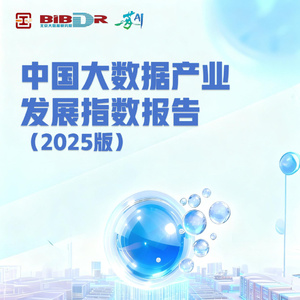 2025年中國大數(shù)據(jù)產(chǎn)業(yè)發(fā)展指數(shù)報告