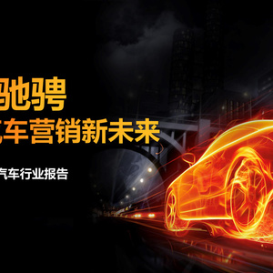 2025年快手汽車行業(yè)研究報(bào)告