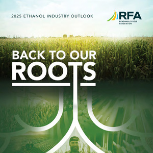 2025年乙醇行業(yè)展望報告：回歸本源
