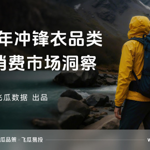2025年沖鋒衣品類線上消費(fèi)市場洞察