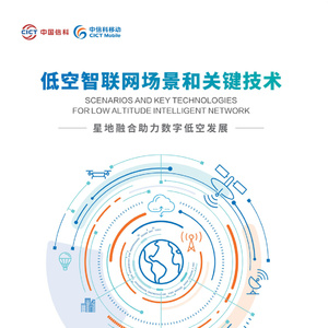 2025年中國低空智聯(lián)網(wǎng)技術(shù)白皮書