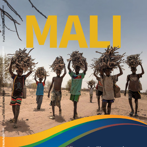 2025年馬里氣候適應(yīng)力與環(huán)境治理報告