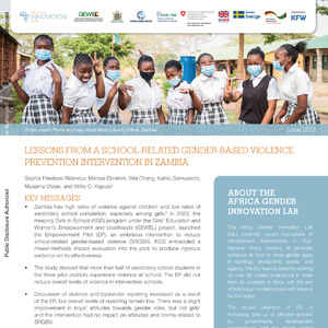 2025年贊比亞校園性別暴力防治經(jīng)驗報告