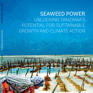 2025年坦桑尼亞海藻產(chǎn)業(yè)潛力報告