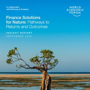 2025年自然金融解決方案報(bào)告