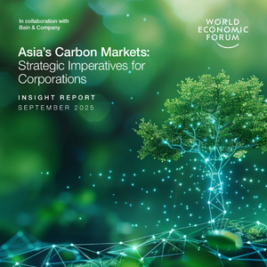 2025年亞洲碳市場發(fā)展報(bào)告