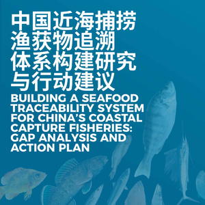 2025年中國近海漁業(yè)追溯體系研究報(bào)告