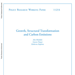 2025年全球增長與碳排放研究報(bào)告