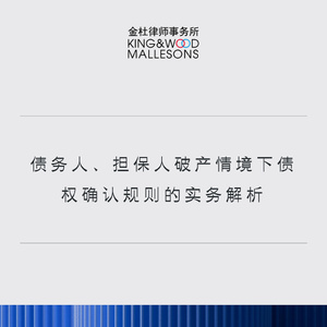 2025年債務(wù)人擔(dān)保人破產(chǎn)債權(quán)規(guī)則解析