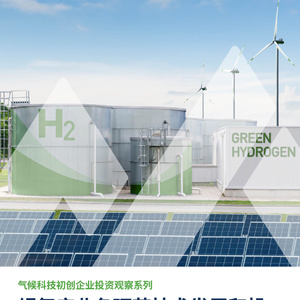 2025年綠氫產(chǎn)業(yè)技術與投資趨勢報告