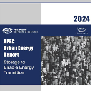 2024年城市能源儲能轉(zhuǎn)型報告
