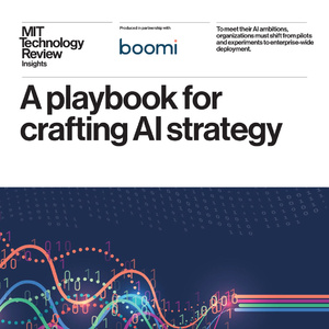 2025年人工智能戰(zhàn)略實(shí)施報(bào)告