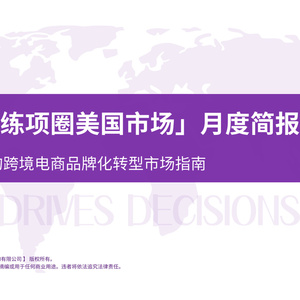 2025年電子訓(xùn)練項(xiàng)圈美國市場(chǎng)研究報(bào)告