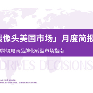 2025年嬰兒攝像頭美國(guó)市場(chǎng)研究報(bào)告