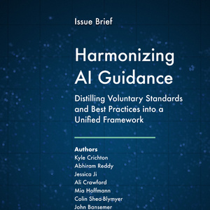 2025年人工智能治理框架研究報(bào)告